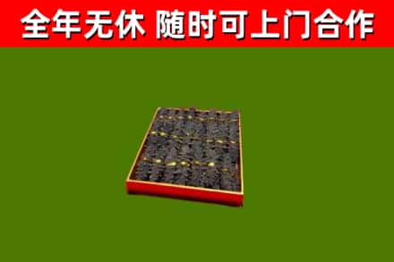 信宜回收海参